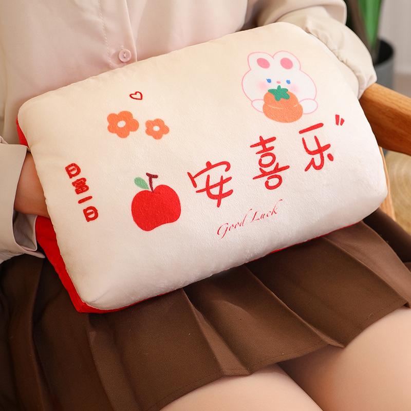 Student Autumn And Winter Dual-Purpose Hand Warmer Throw Pillow Hand Warmer Cover Can Be Inserted Into The Pillow Office Plush Lunch Break Pillow