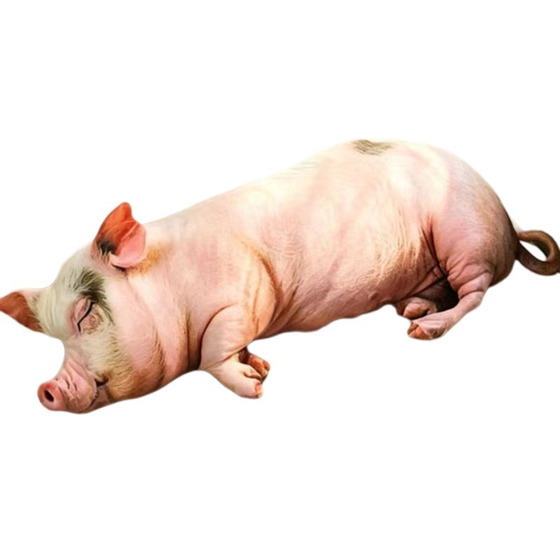 2560 Cm Gesimuleerd Roze Varken Pluche Plaid Kussen Gevuld Wild Dier Kussen Rugsteun Pluche Speelgoed Bank Stoel Decor Man Cadeau 100cm