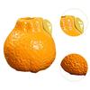Propagation Vase Office Planter Wedding Fireplace Table Centerpieces Stems Bunch Storage Fruit Shaped Ceramic Flower Vase Modern