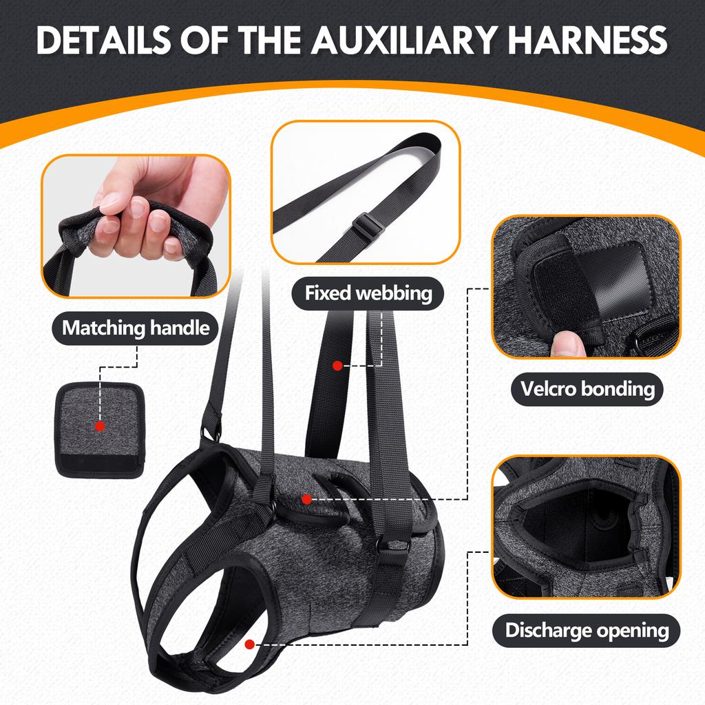 Postroj pro psy na zadní nohy pro velká plemena k podpoře rehabilitace zadních končetin starých psů se slabostí zadních nohou a postiženími