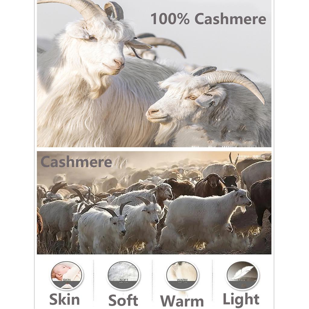 Women's 100% Cashmere Solid Color Scarf Hollow Grid Knitted Windproof Elegant Embroidery Texture Neckerchief for Ladies Banquet