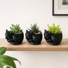 Flowerpot Ornament 3D Printed Sleeping Dragon Shape Matte Large Curved Planter 1 Pc