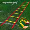 16-Rung Agility Ladder