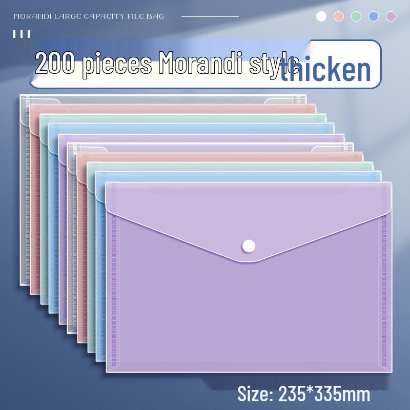 Transparent Large Capacity Snap Button File Bag for Students