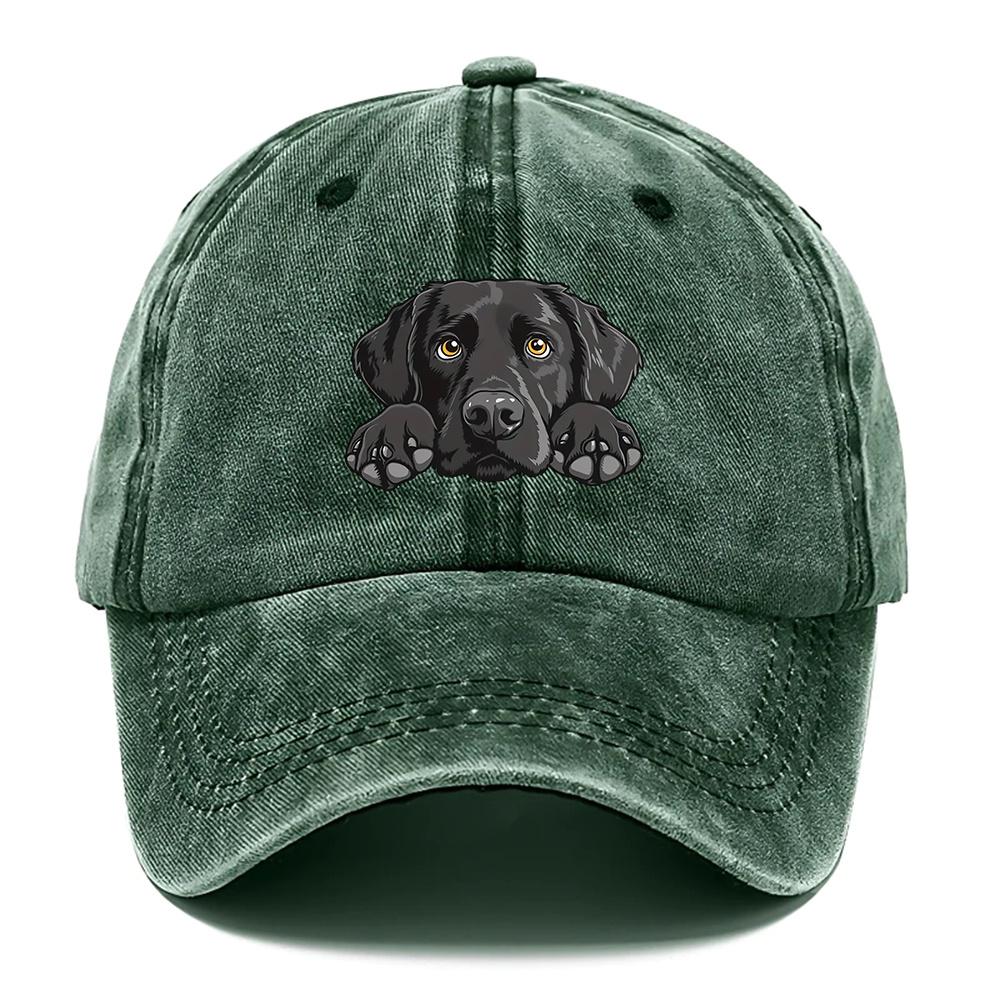 1pc Labrador Print Baseball Cap,Lightweight Breathable Adjustable Snapback Hat with Curved Brim,Washed Look for Outdoor,tralve