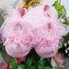 Baby Lace Prewalker Princess Shoes (Newborn) Xsx012