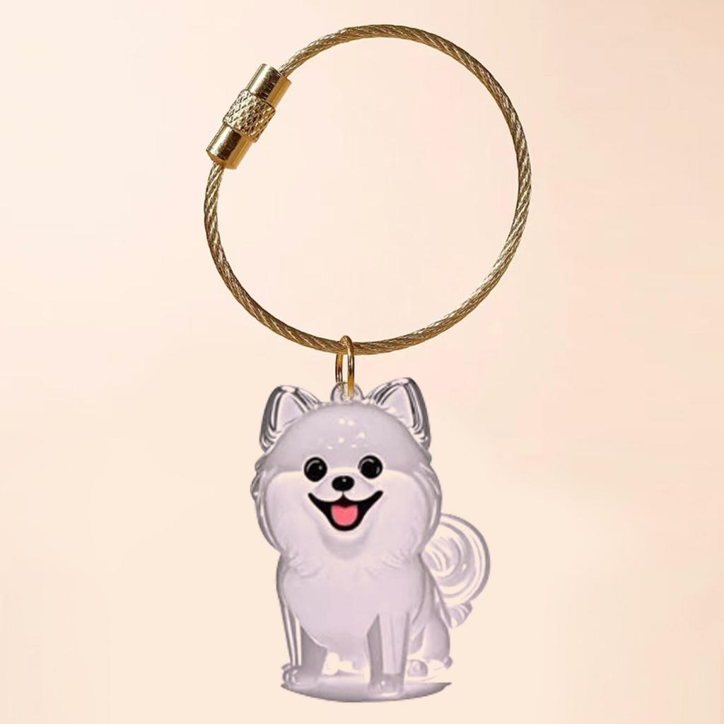 Transparent Cat Hair Storage Box Charm Gacha Cat Hair Storage Capsule Commemorative Collection Bag Keychain Pendant