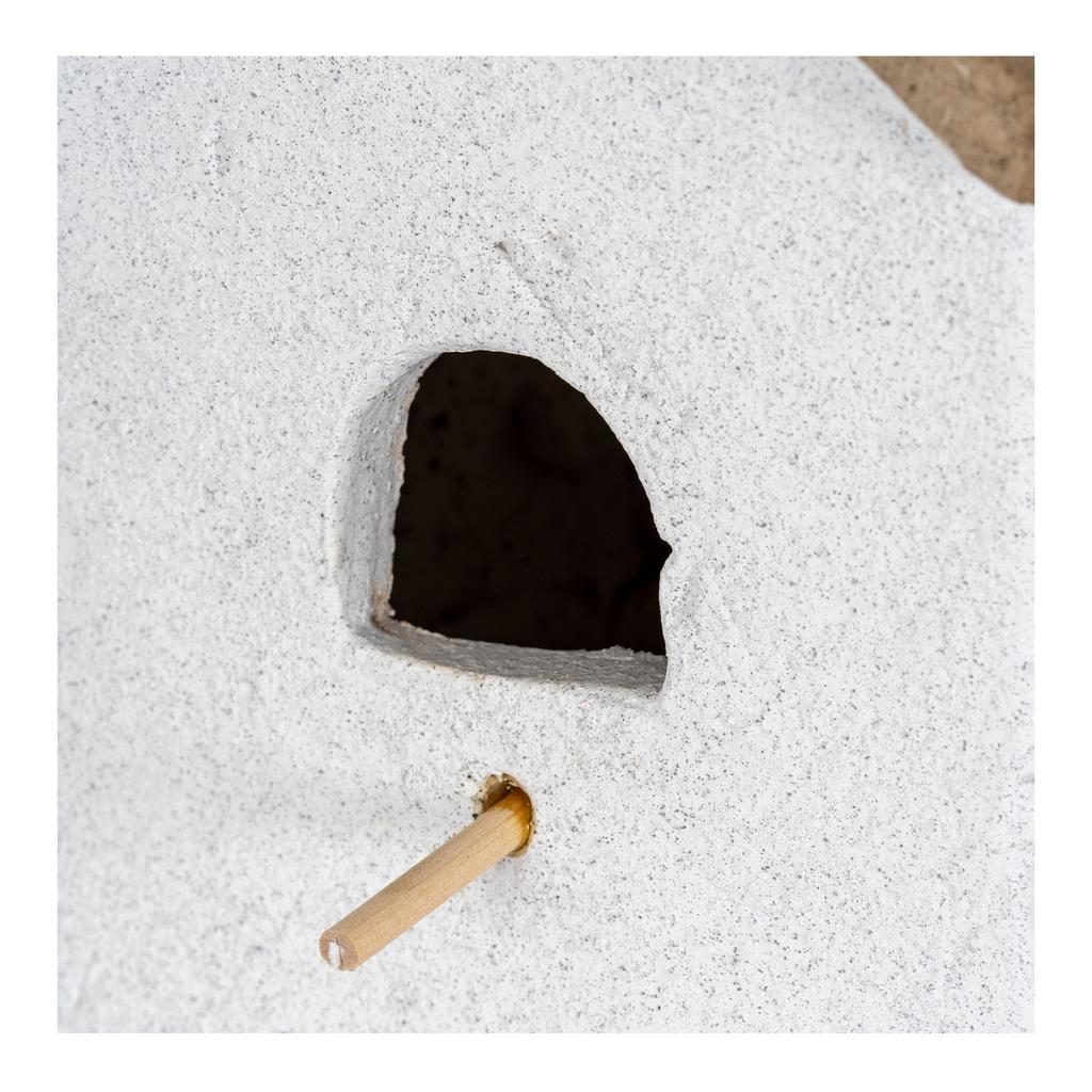 Hill Interiors Hanging Wild Bird House