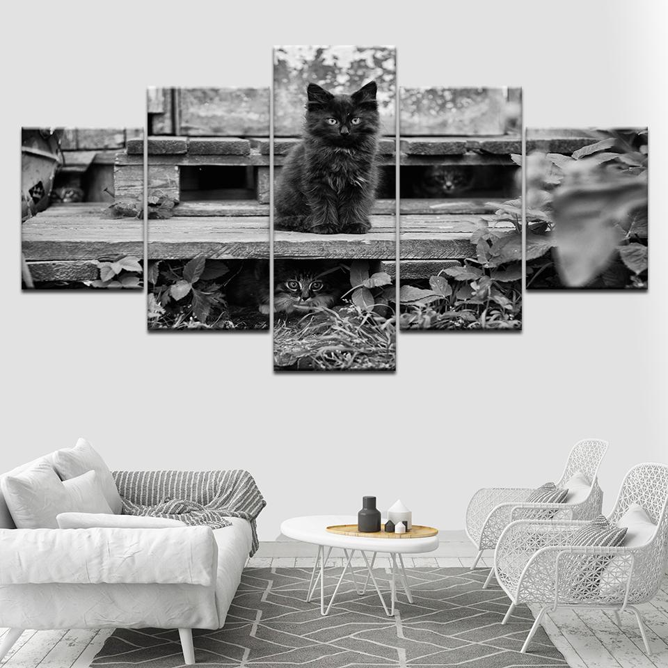 

Cats Kittens animal 5 Piece HD Wallpapers Art Canvas Print modern Poster Modular art painting for Living Room Home Decor 20x35 20x45 20x55cm