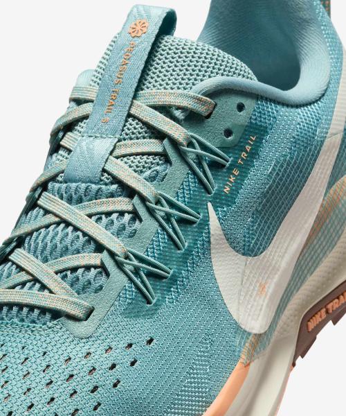 Nike Pegasus Trail 5 W DV3865-010 [Shipped from Korea] 100% Authentic