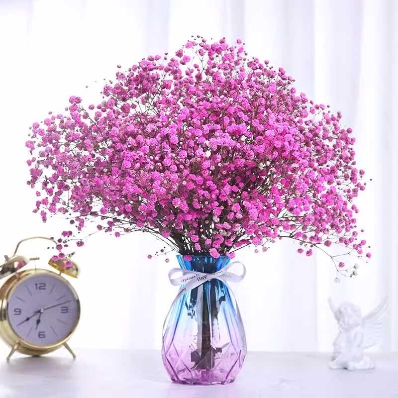 Baby's Breath Dried Flower Bouquet - Real Decorative Flowers for Living Room and Gift Packaging