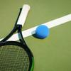 Badminton şi tenis