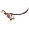 NUOBESTY Dinosaur Model Deinonychus Model Animal Playset Animal Landscape Decoration Mini Animal Cognite Brown 1 Piece