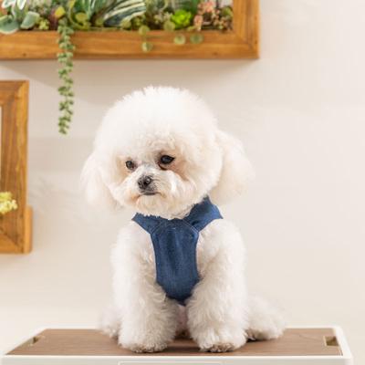 25 Years of New Spring and Summer Dog Clothes, Small and Medium-sized Dog Denim Two-piece Vest, Teddy Pomeranian Pet Clothing