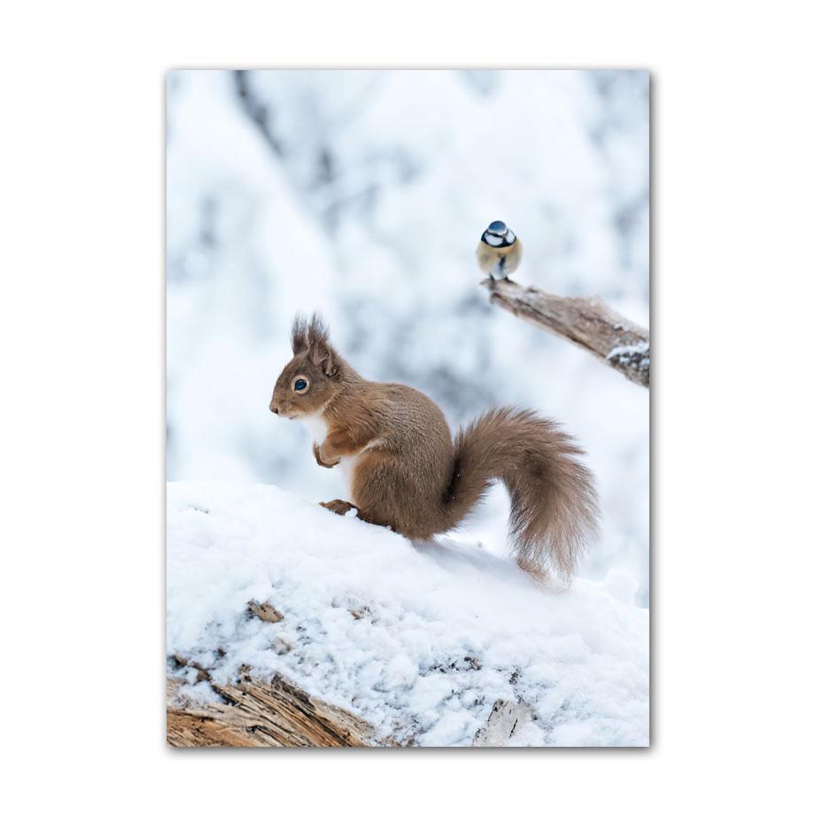 Inverno Neve Foresta Treno Cervo Scoiattolo Pigna Wall Art Canvas Painting Poster e stampe Immagini a parete per soggiorno Decor