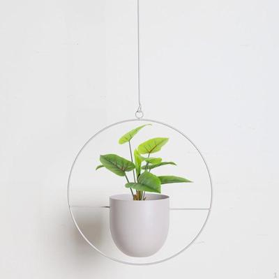 Pflanzenhänger mit Blumentopf, Übertopf zum Aufhängen an Decke und Wand, Moderne Pflanze, Topf