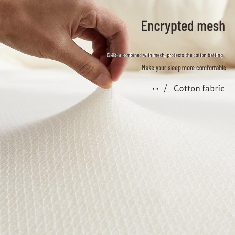 Nanjiren Winter Thickened Blended Quilt