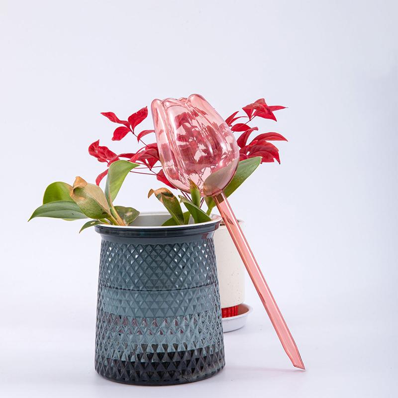 Stylish Plant Watering Solution Tulip Plant Watering Globes Self Watering Bulbs For Indoor Outdoor Plants Automatic Spikes