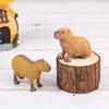 New Simulation Mini Cute Wild Animals Model Figurines Capybara Action Figure Children'S Collection Toy Gift