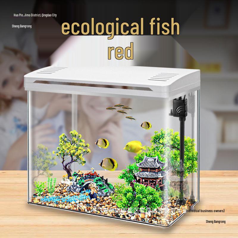 Acrylic High-Definition Fish and Turtle Tank for Living Room 