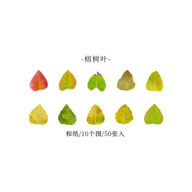 1roll/50pcs Yellow Autumn Leaves Series, Creative Plant Stickers for Hand Account Decoration