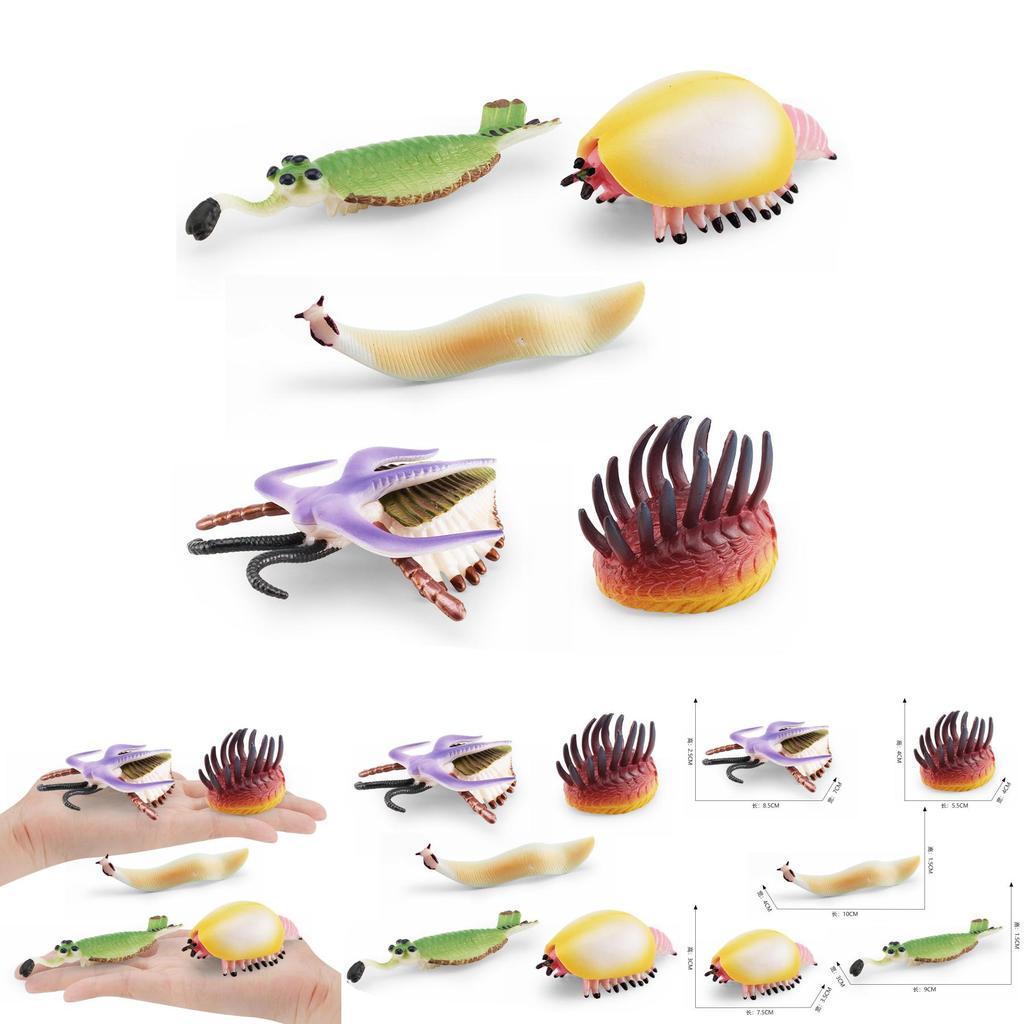 Realistic Ancient Marine Creature Model Collection Featuring Cambrian Anomalocaridids And More
