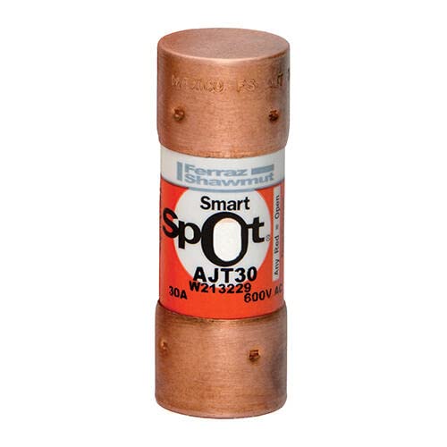 

Mersen AJT30 Fuse, Class J Time Delay, 10-Pack