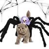 Cat SpiderCostume Photography Outfit Small Medium Dog Halloween Novelty Costume