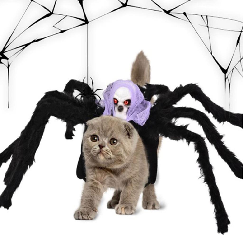 Cat SpiderCostume Photography Outfit Small Medium Dog Halloween Novelty Costume