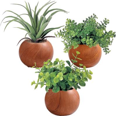 Kijapan Künstliches Grün Set (3-teiliges Set) - Niedlicher Eukalyptus, Tillandsie und fächerförmiges Grün - Naturholzmaserungstopf (Produktcode 419518) -