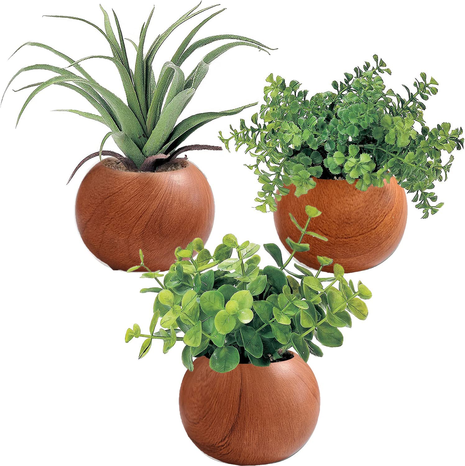 

Kijapan Artificial Greenery Set (3-Piece Set) - Cute Eucalyptus, Air Plant, and Fan-Shaped Greenery - Natural Wood Grain Pot (Product Code 419518) -