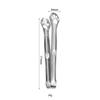 ZISIZ 304 Stainless Steel Cat Claw Buffet Tongs