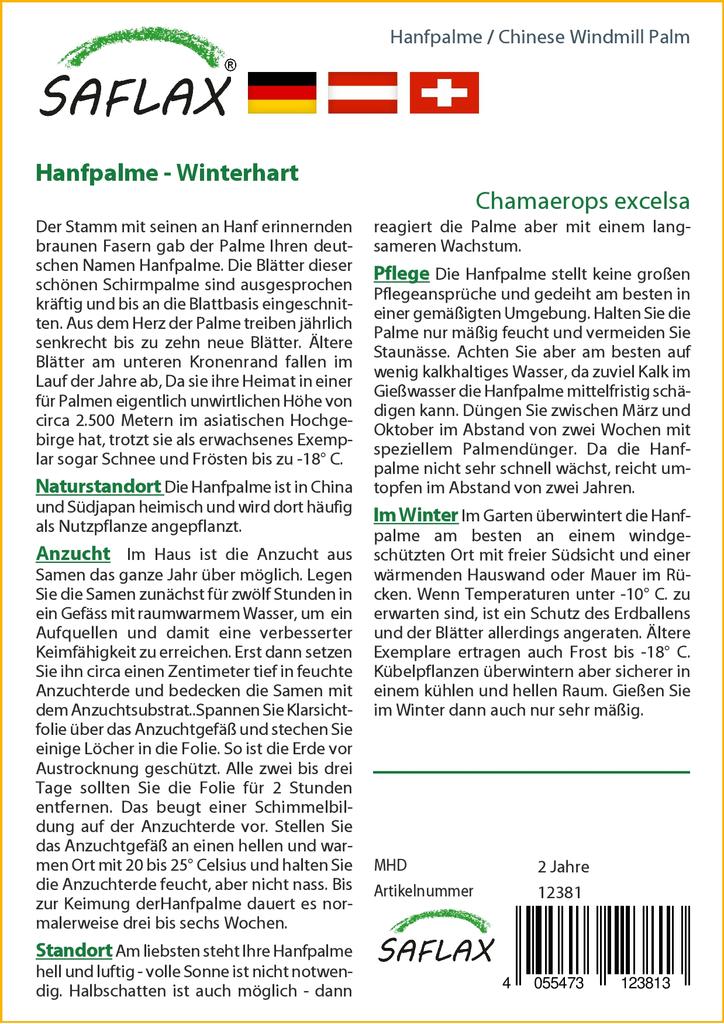 SAFLAX Palma cinese del mulino a vento - 10 semi - Con substrato da vaso per una migliore coltivazione - Chamaerops excelsa