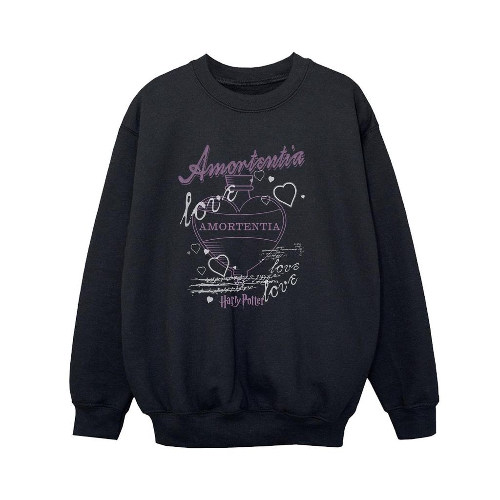 Harry Potter Boys Amortentia Potion Sweatshirt