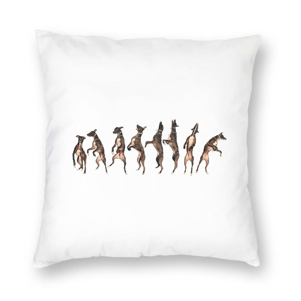 Greyhound Semaphore Whippet Sighthound Dog Square Pillowcase Pillow Cover Cushion Throw Pillow for Home Bedroom Car