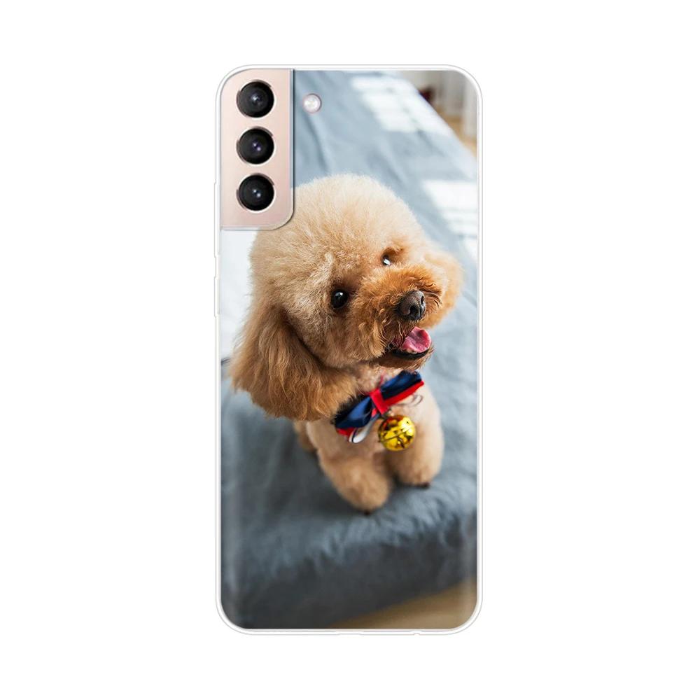 Mobile Phone Bag Case For Samsung Galaxy S21 Silicone Back Cover For Samsung S21 plus s 21 GalaxyS21 S21 FE S21Ultra Cases Capas