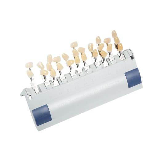 VITA Dental Whitening Shade Guide, 29 Colors, 3D Dental Model Board