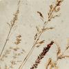 Vintage Botanical Print Shower Curtain, Durable Polyester, Delicate Wildflowers Design, Ideal For Bathroom Decor