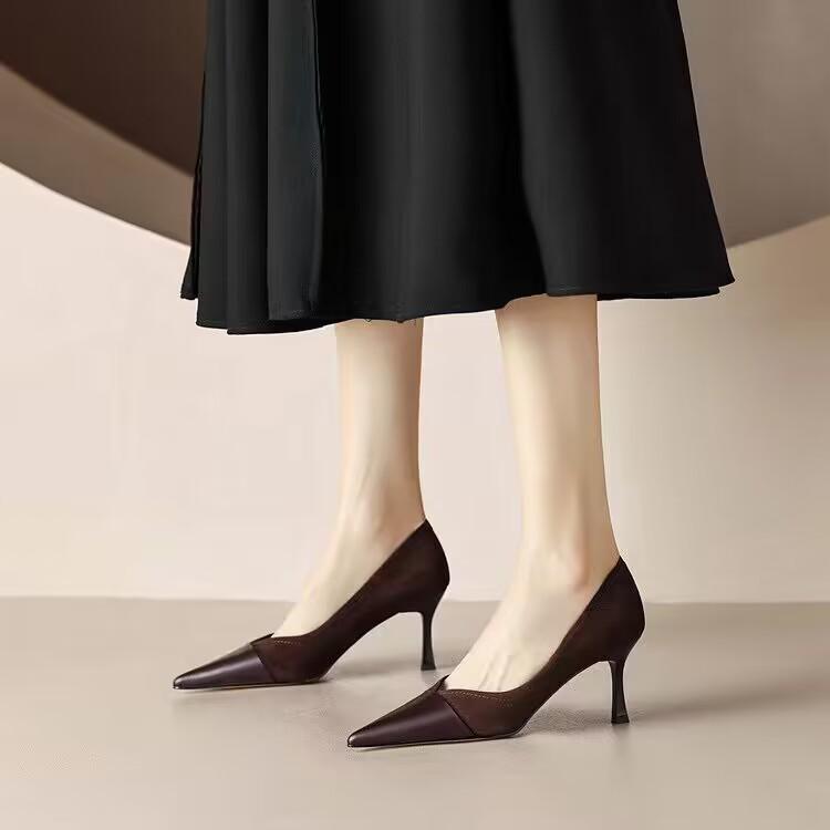 Temperament Celebrity Sexy Stiletto Single Shoes Spring 2025 New Pointed Shallow Mouth Women's Shoes