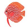 Silicone Luminous  Simulation  Fish Colorful Realistic Artificial Fake Fish Aquarium Landscaping Decoration Home Office Ornaments