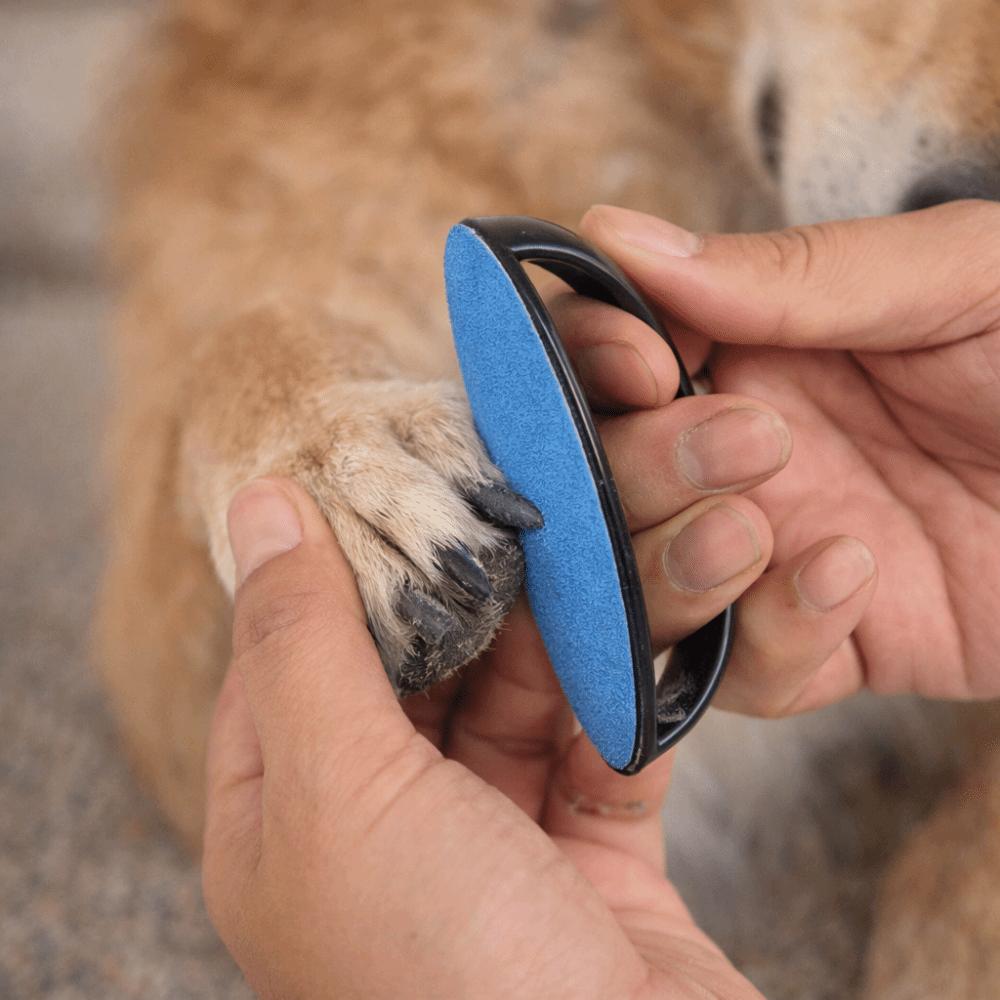 Replaceable Sandpaper Dog Nail File Board Portable Efficient Pet Scratch Pad Wear Resistant Puppy Nail File