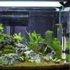 Risheng Explosion-Proof Stainless Steel Aquarium Heater Thermostat Rod