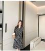 Elegant Chiffon V-Neck Long Sleeve Dress, Slimming Waist, Mid-Length Skirt, Women's Spring/Autumn 2026 New Arrival