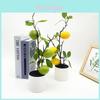 Decoração de casa – Flores e coroas artificiais