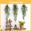 Plant Epipremnum Aureum Wall Hanging Durable Material Interior Decor