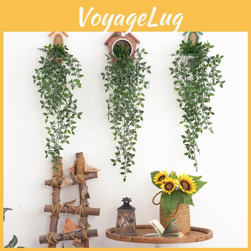 Plant Epipremnum Aureum Wall Hanging Durable Material Interior Decor
