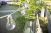 Takasho Garden Party 10 Approximately 3m Indirect for Home Parties LGB-PT10 Battery-Operated Light, Light, Bulbs, Long, Clear, Illumination, Outdoor,