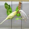 4 Stück Leicht zu reinigender Sepiaschalen-Futterspender Langlebiger Futterständer Spielzeug Vogelkäfig Zubehör Papageienstand Papagei