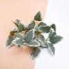 20/50 Pieces Silk Green Leaf Artificial Plants Wedding Home Room Table Decor Flowers Wreath Christmas Tree Garden Yard Accessory