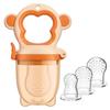 Silicone Baby Fruit Feeder & Teether